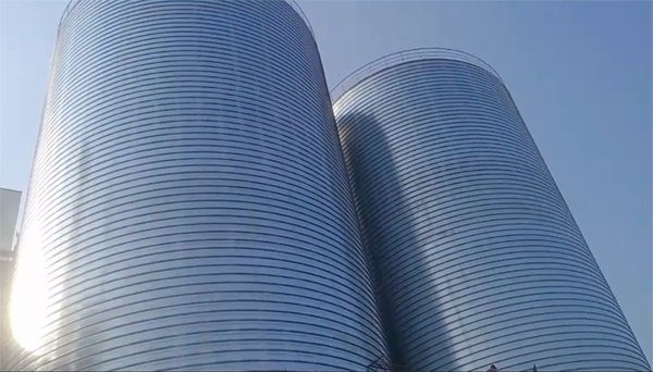 罗平2座混凝土高架卷板仓